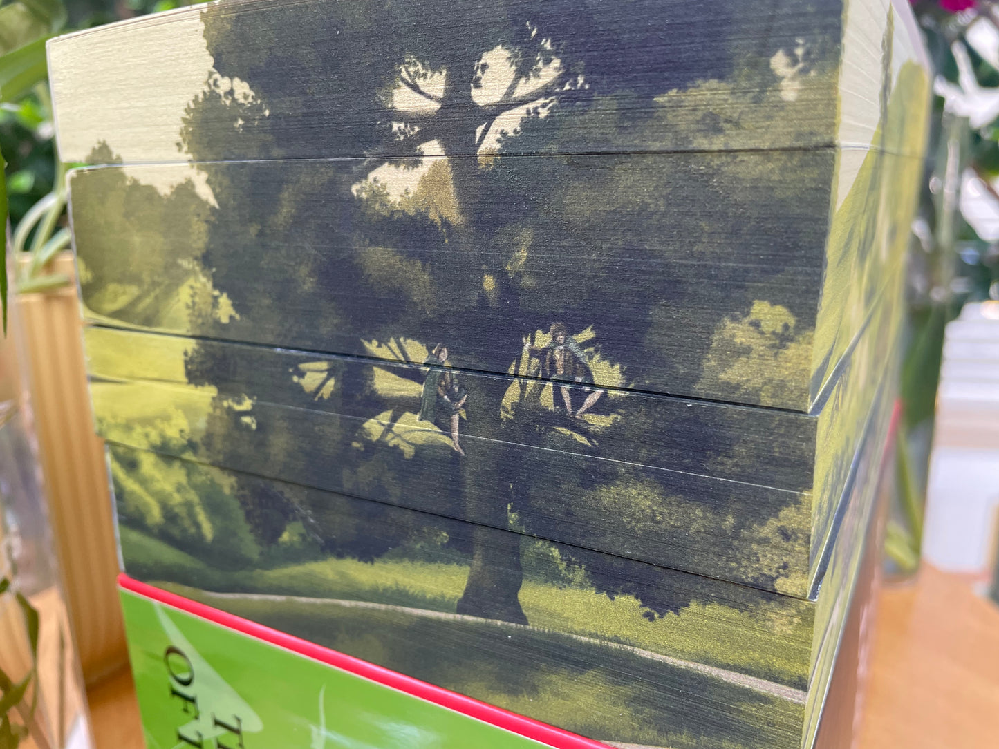 The Hobbit/Lord of the rings box set with custom edge print artwork
