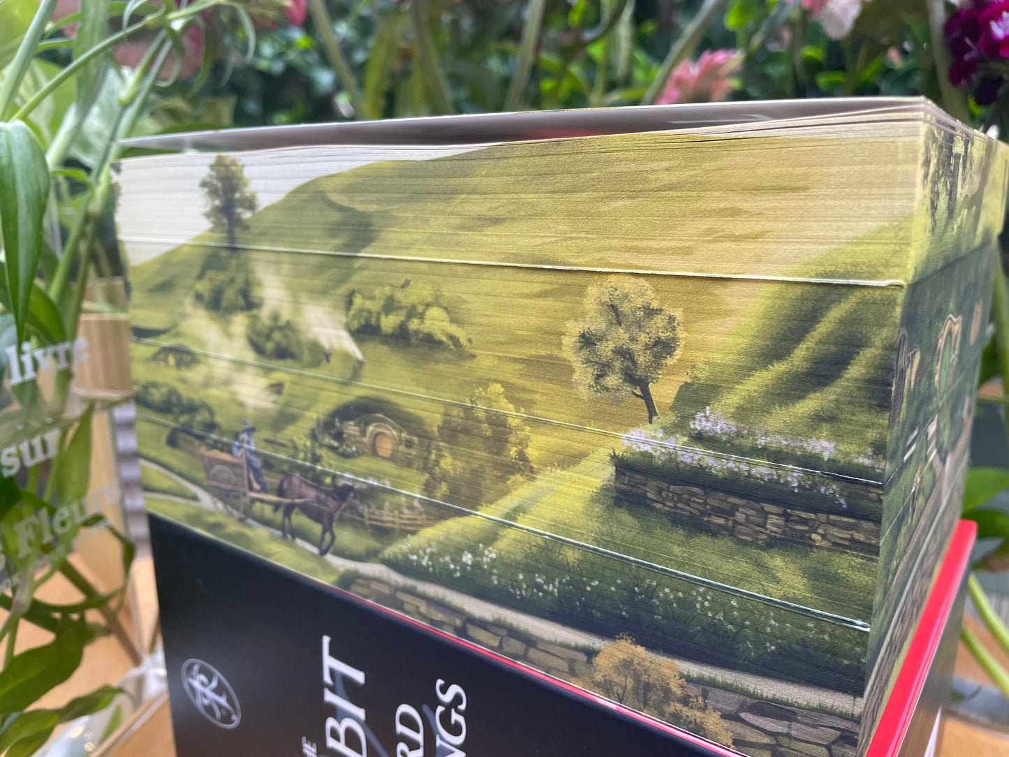 The Hobbit/Lord of the rings box set with custom edge print artwork