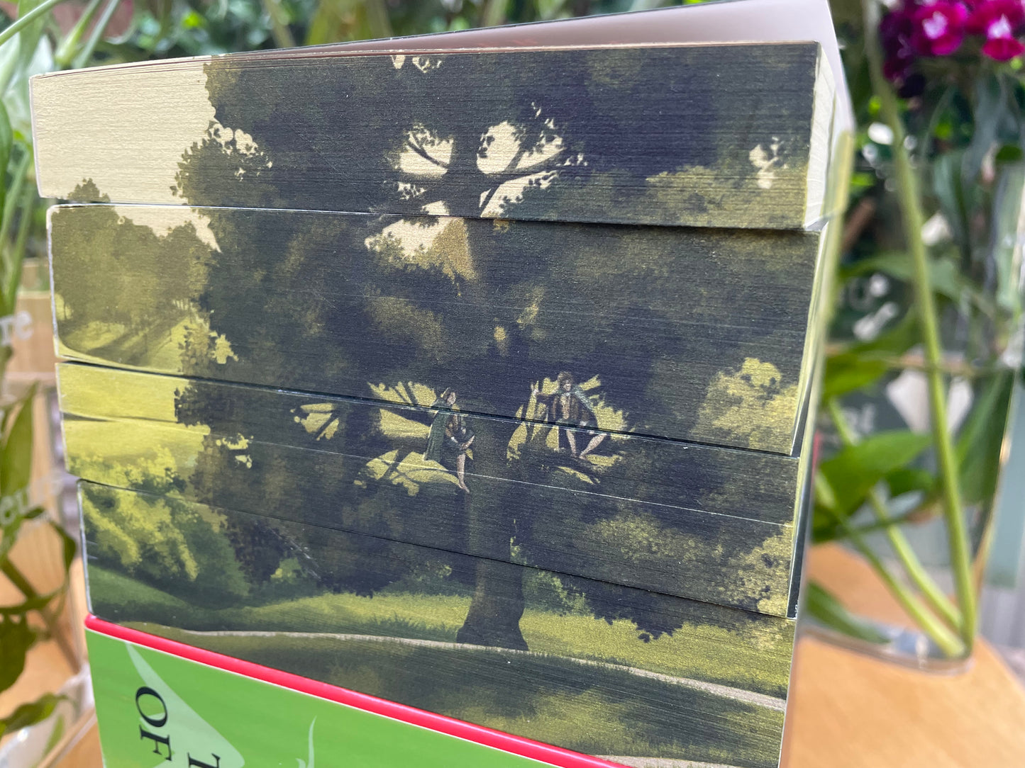 The Hobbit/Lord of the rings box set with custom edge print artwork